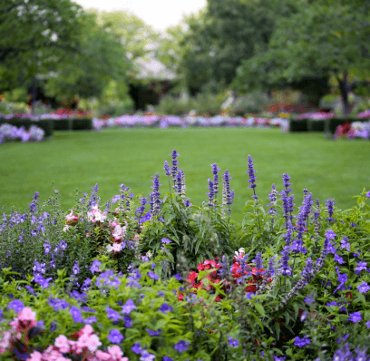 Agnes Scott College