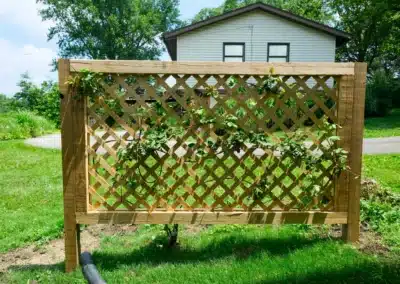 wood privacy fence with greenery growing on it