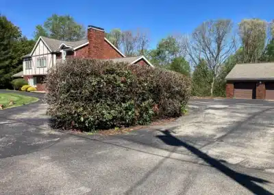 bushes in the middle of a driveway, trimmed