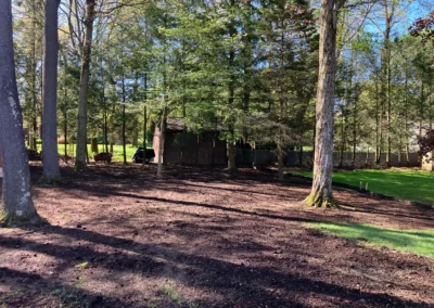dirt patch with grass seed by a shed
