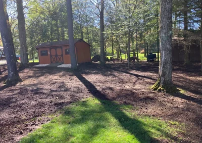 dirt patch with grass seed shed